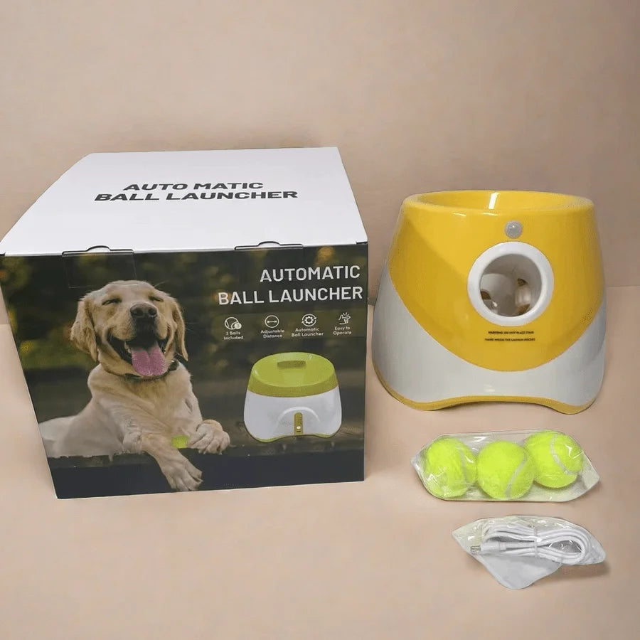 Automatic Fetch Machine