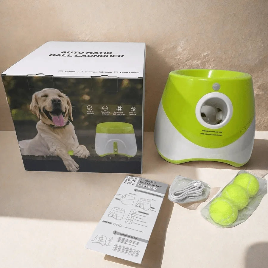 Automatic Fetch Machine