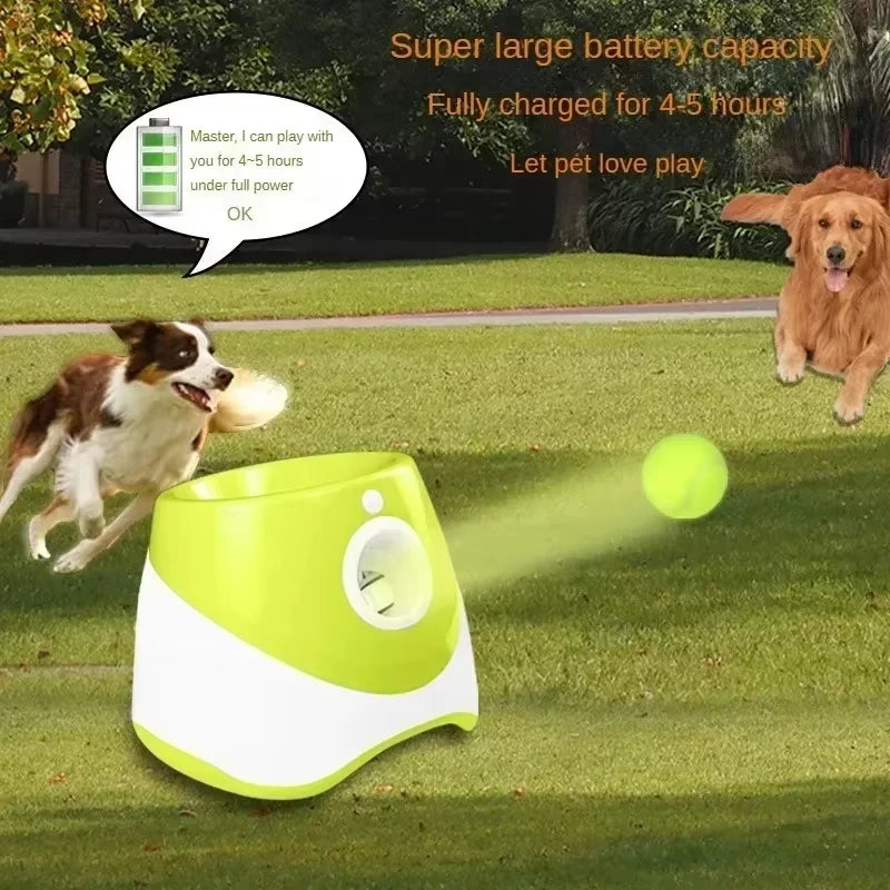 Automatic Fetch Machine